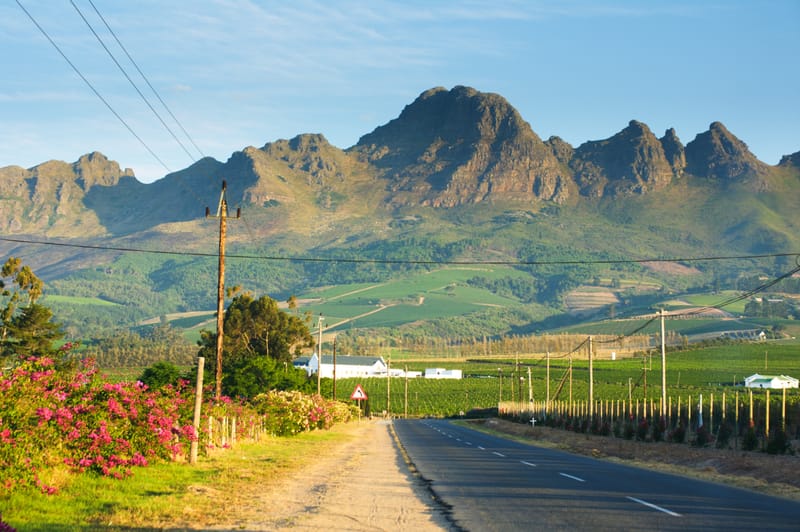 Landstraße mit Bougainvillea am Rand, dahinter Weinberge und eine zackige Bergkette
