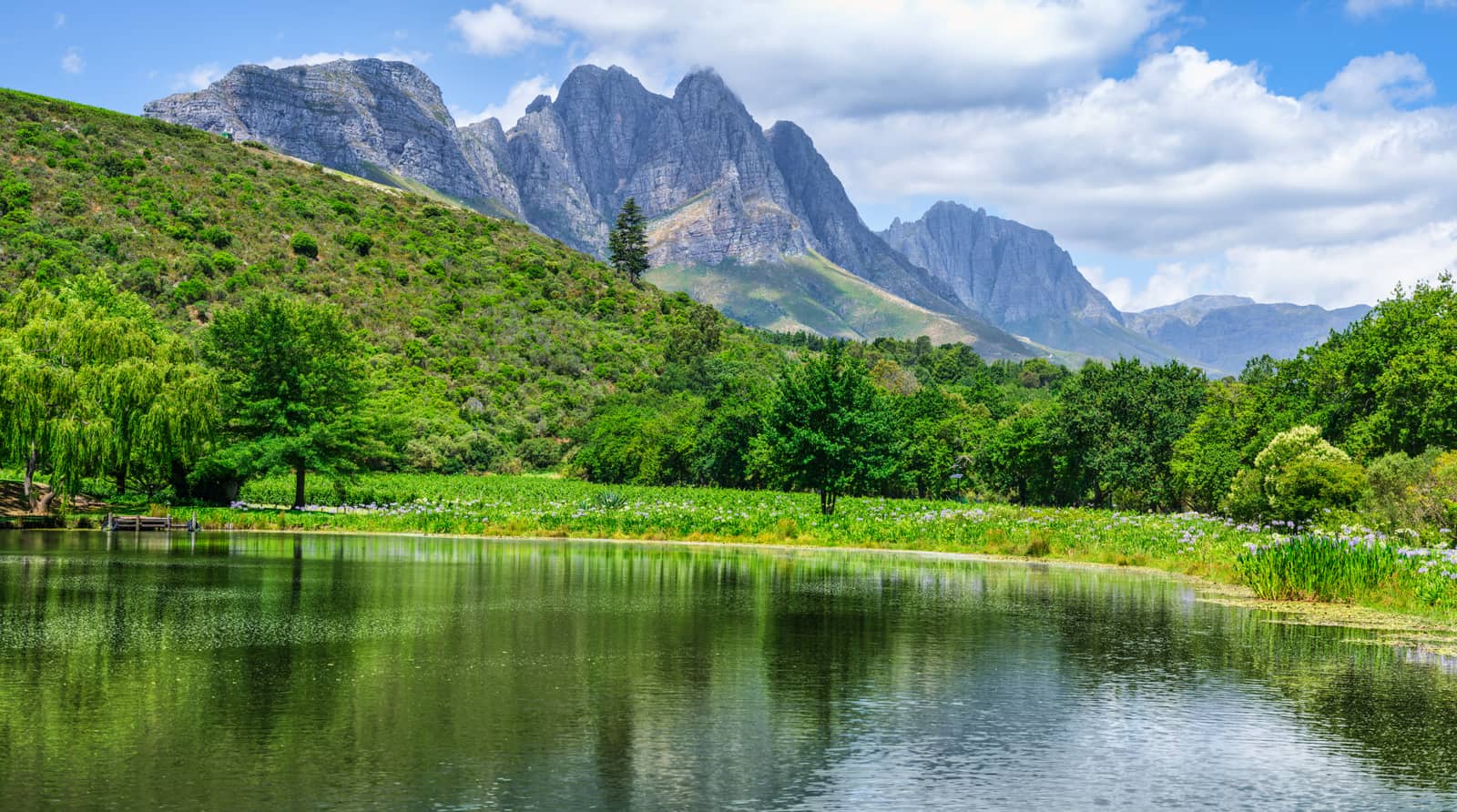 Teich des Weinguts Stark-Condé vor grünen Hängen und den Gipfeln des Jonkershoek-Tals bei Stellenbosch