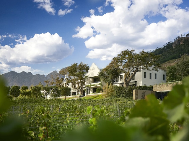 Leeu Estates